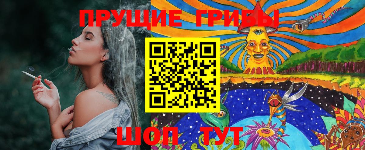 Галлюциногенные грибы ЛСД  Вход с VPN  Новозыбков 
