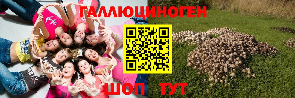 Галлюциногенные грибы GOLDEN TEACHER Новозыбков